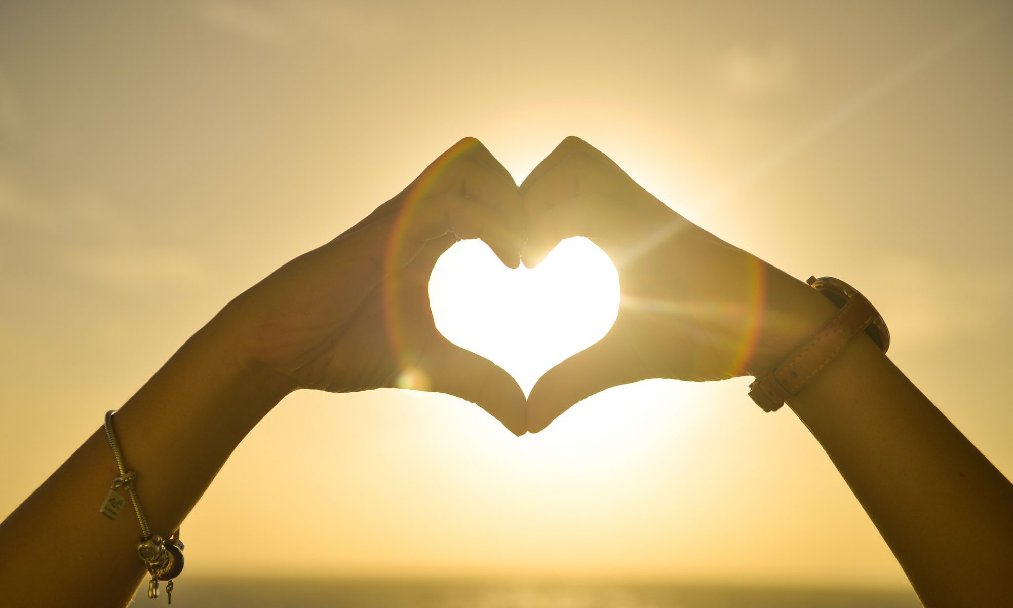 日本ヘラルド株式会社